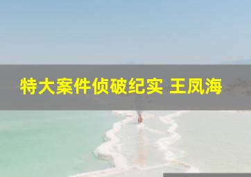 特大案件侦破纪实 王凤海